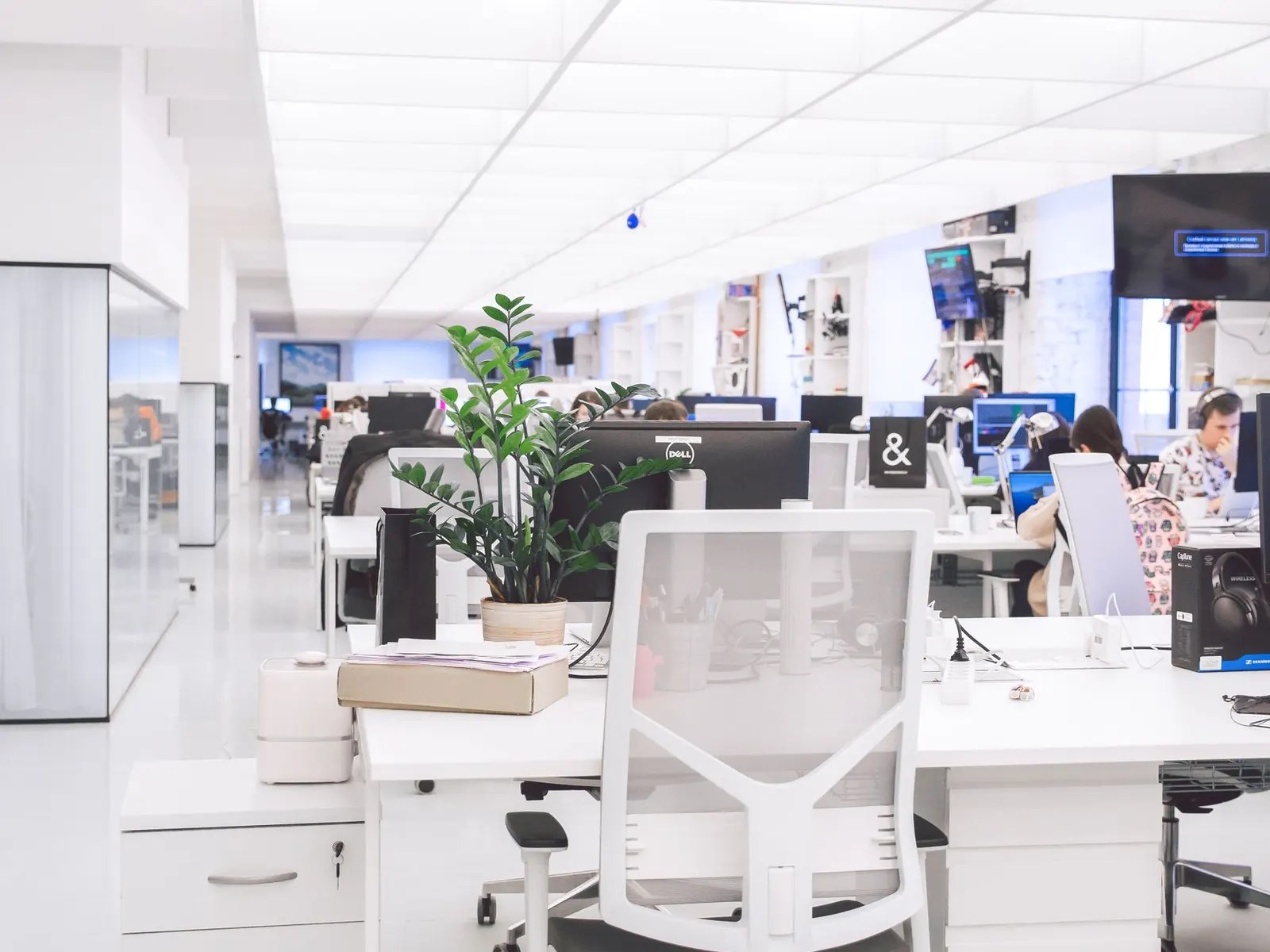 Oficina diáfana y luminosa con puestos de trabajo, ordenadores y plantas